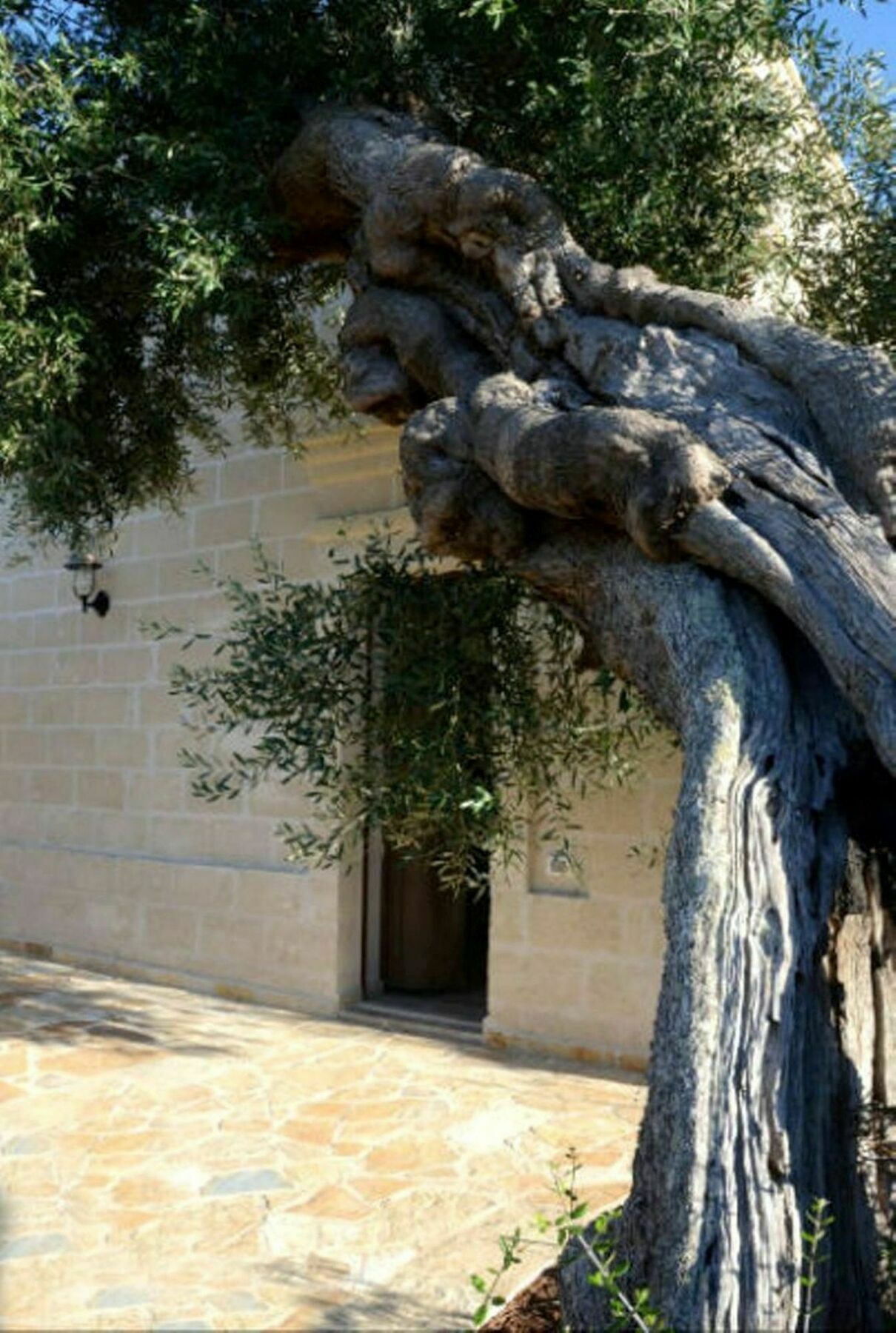 Savelletri Agriturismo Masseria San Leonardo מראה חיצוני תמונה